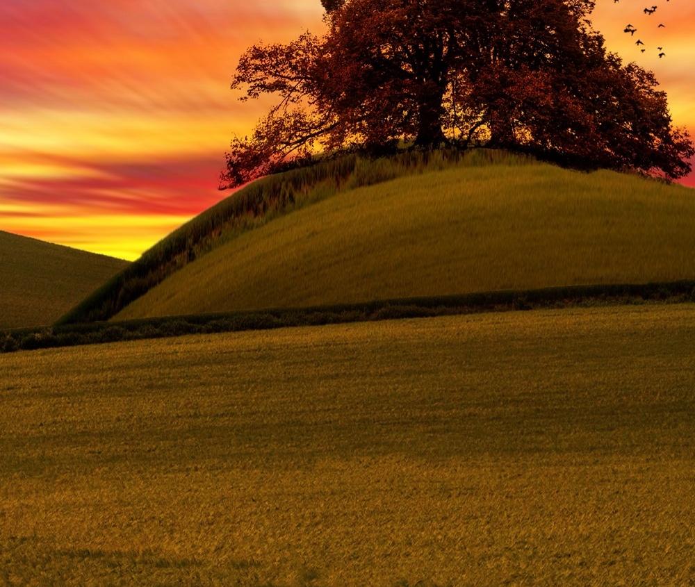 Rolling hills at sunset