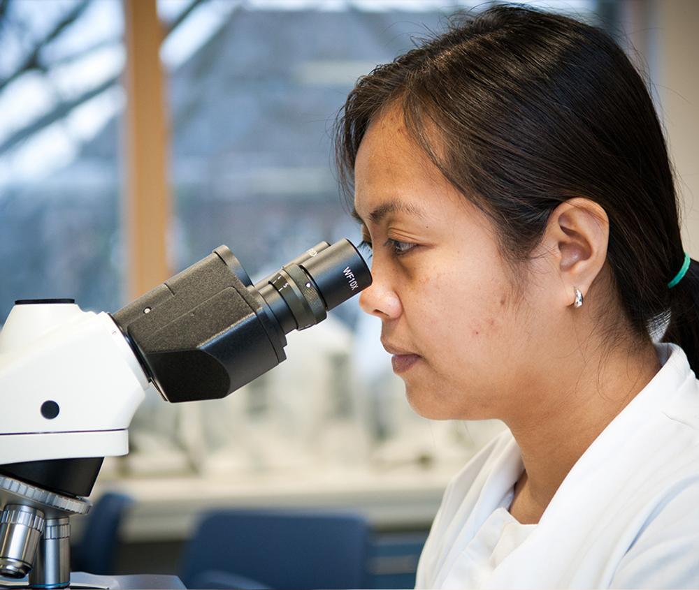 a woman student analysing specimen
