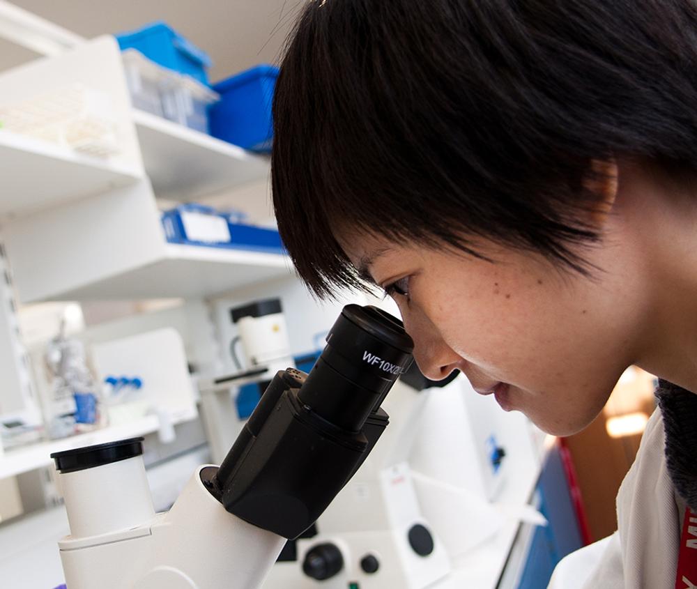 oriental person examining a specimen