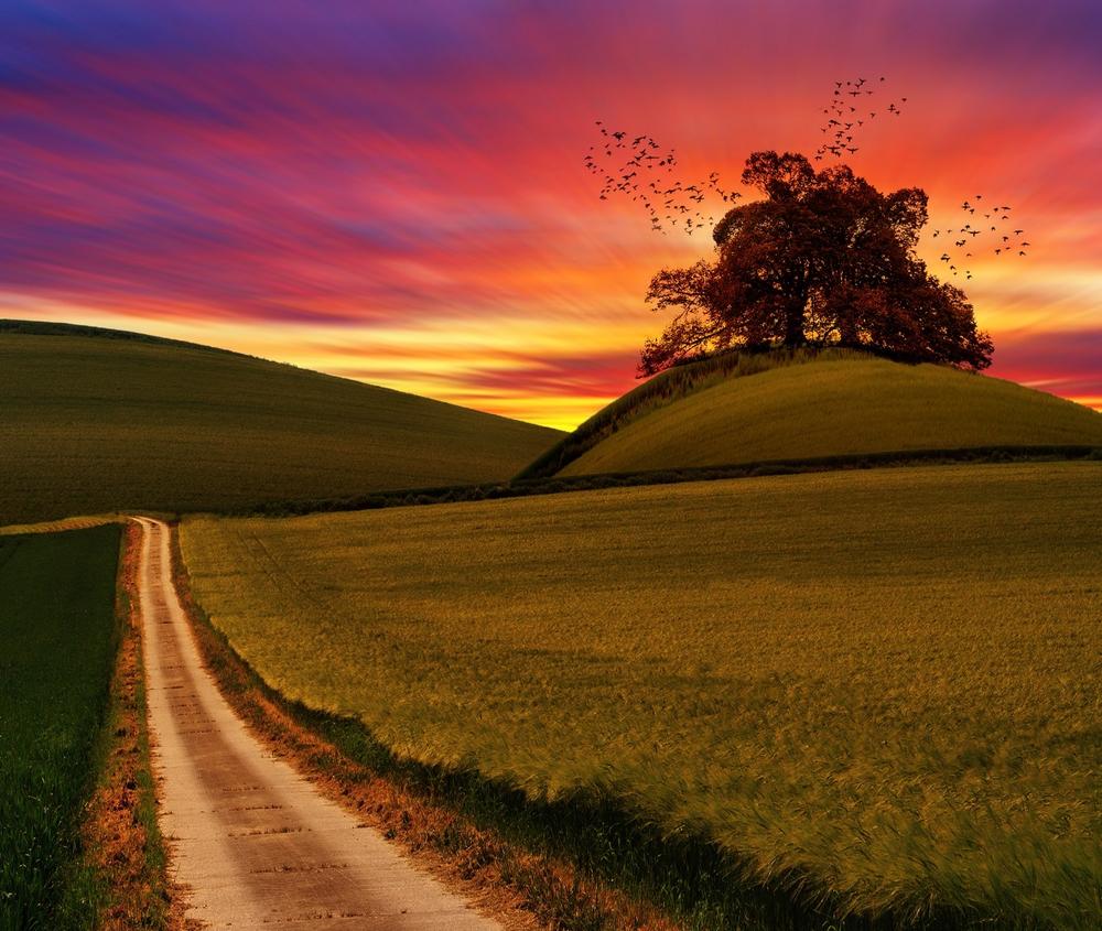 Rolling hills at sunset