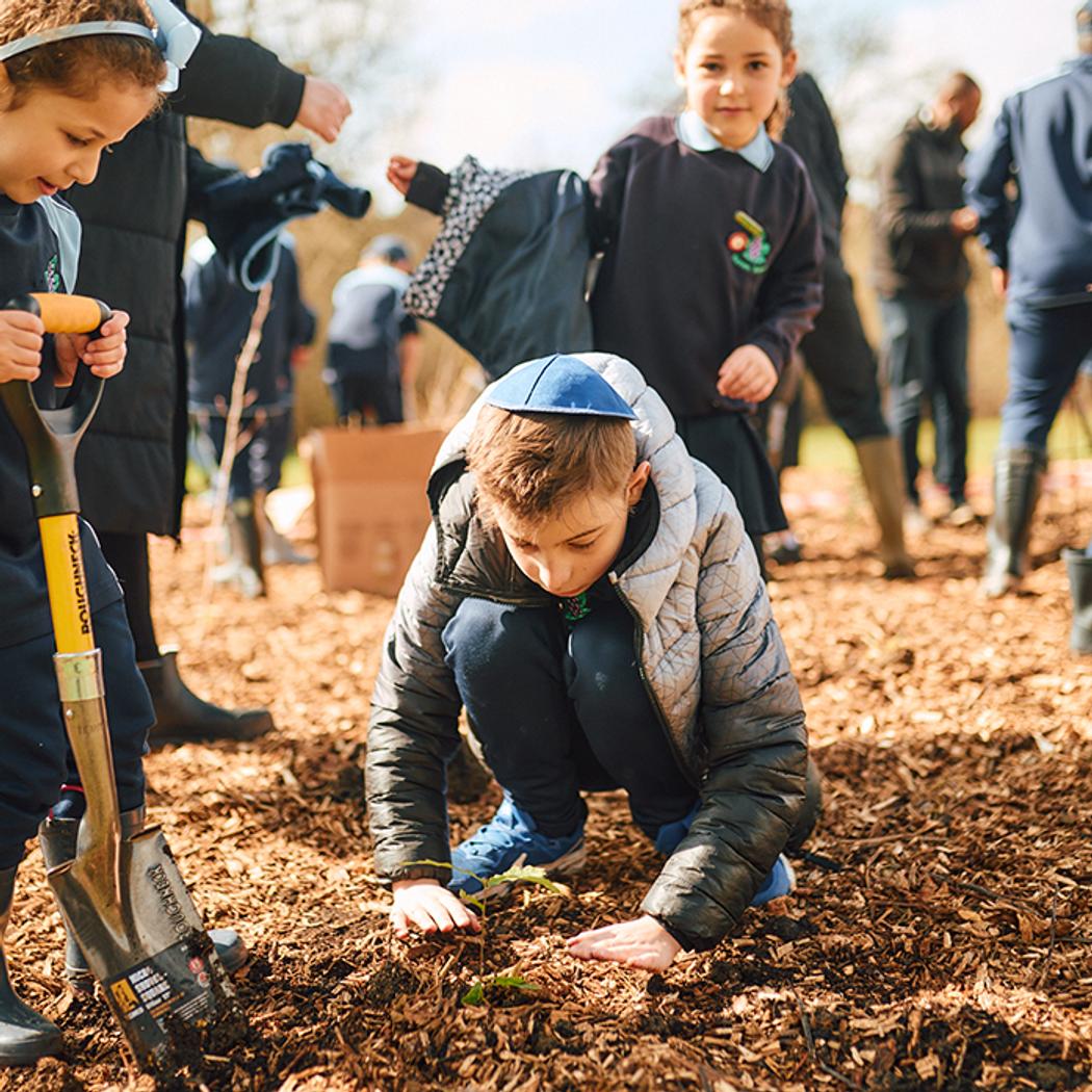 Three schoolchildren help to plant trees