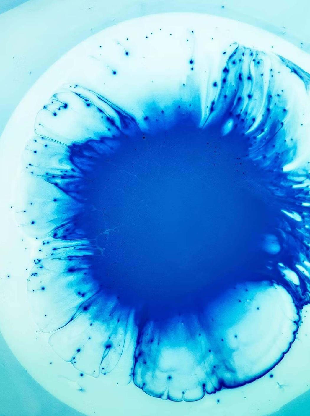 Blue cells