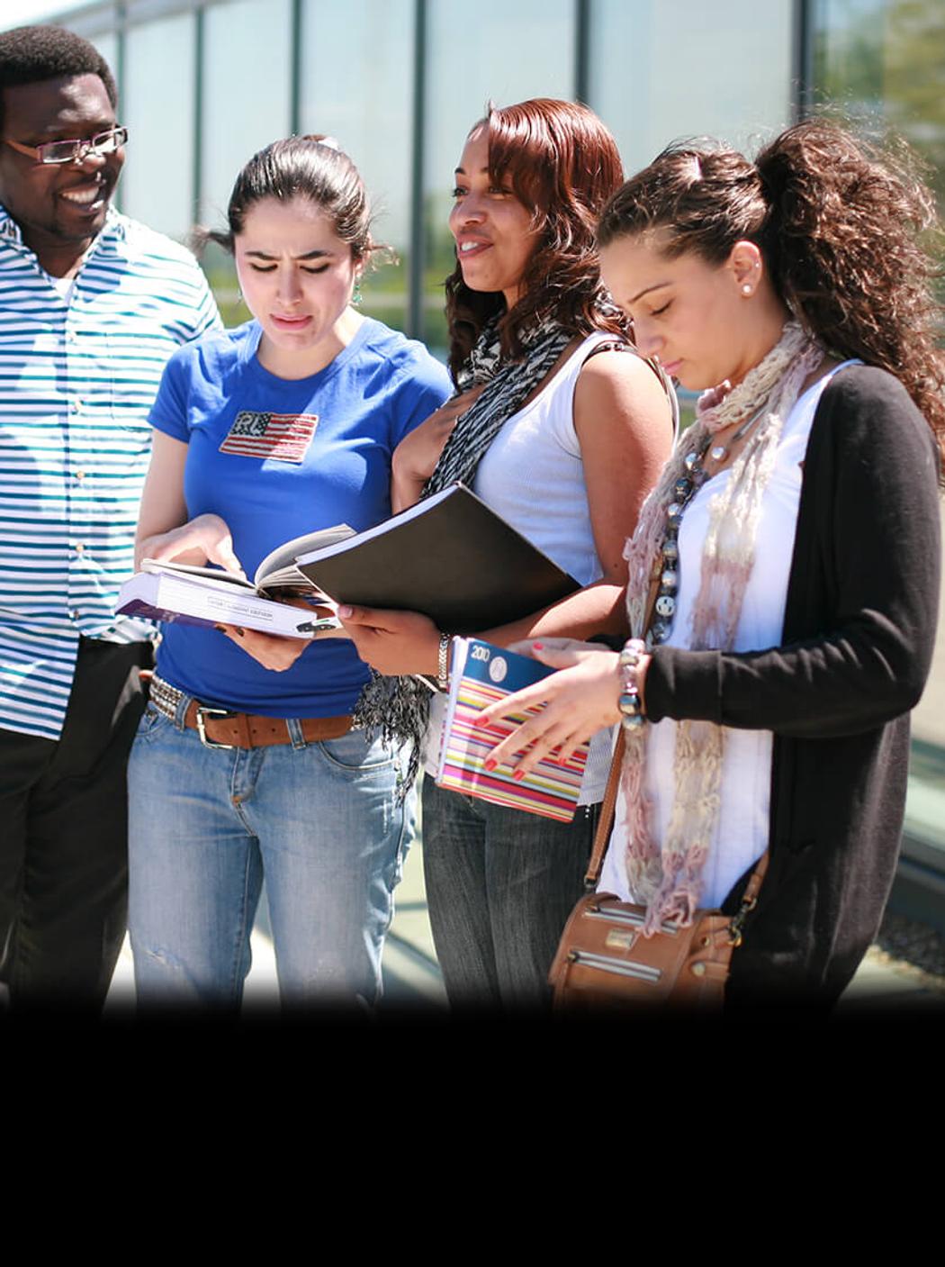 group of students talking on a sunny day