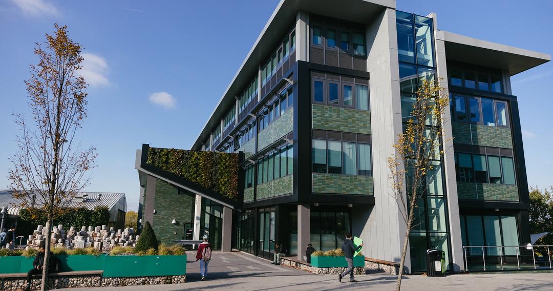 Ritterman Building - modern building with large windows and climbing plants
