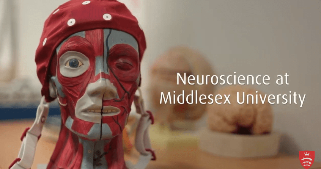 A screen grab from the video featuring a model of a human head used in the course