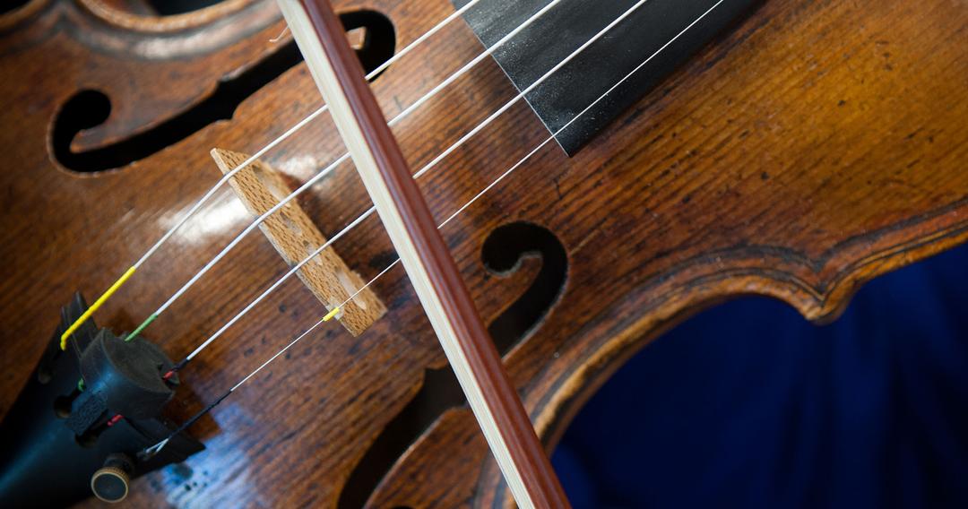 Một cảnh quay cận cảnh của một cây đàn violin