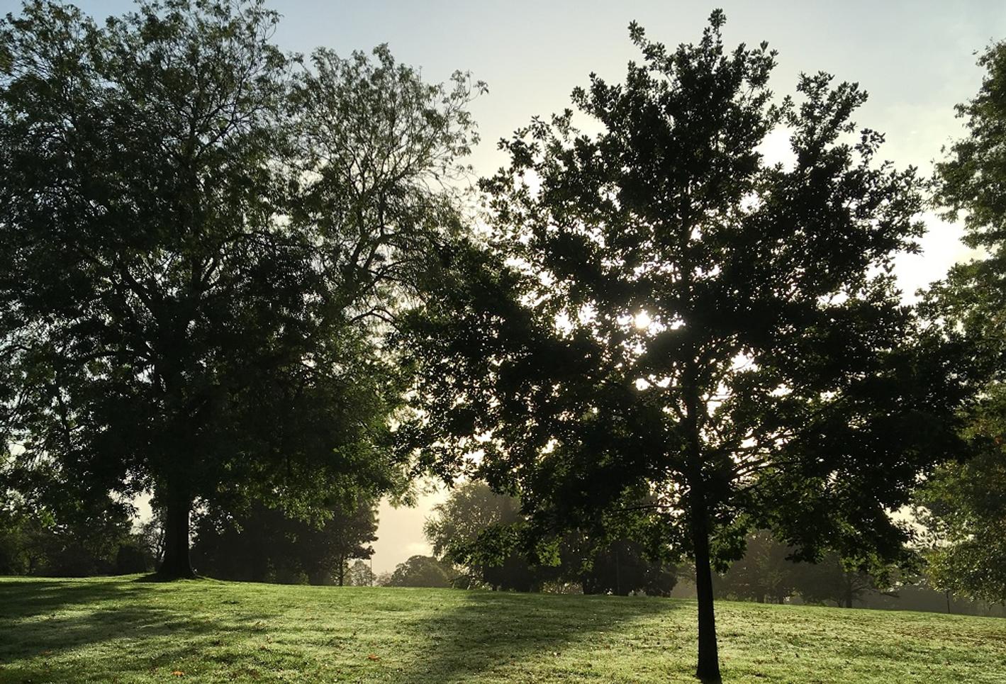 BarNET ZERO Challenge launched to shape a sustainable future