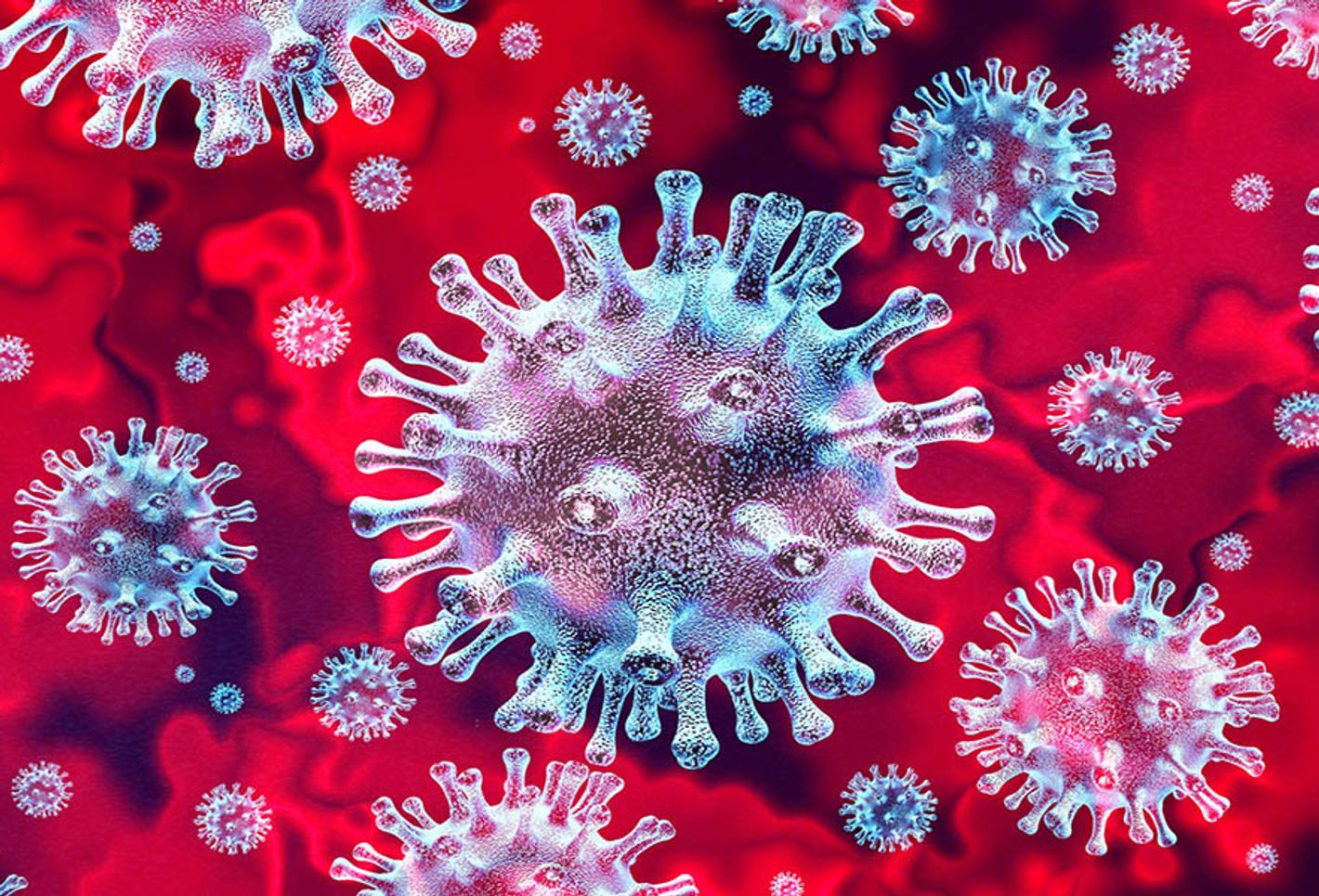 Image of coronavirus virus