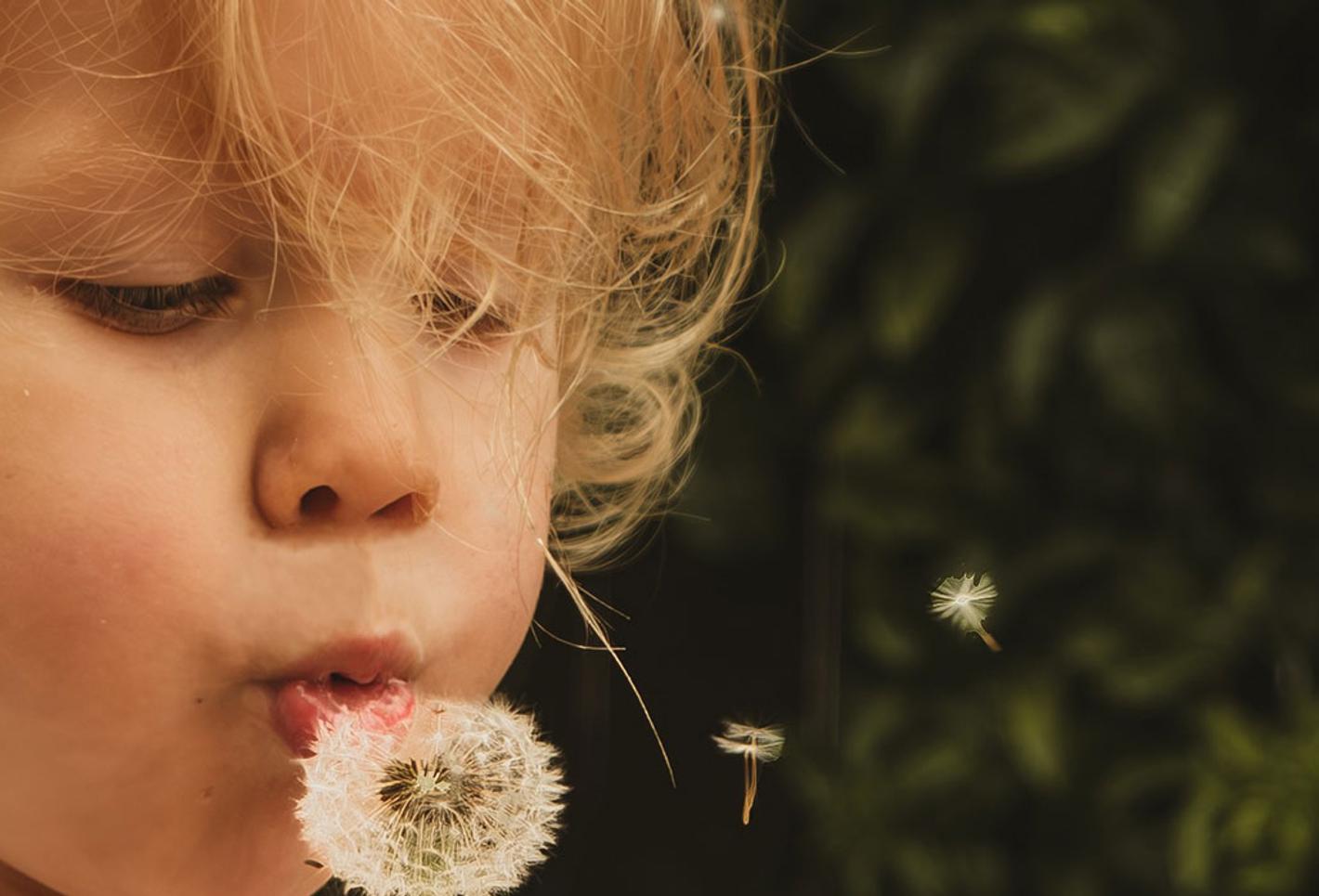 An image of a child blowing on a dandelion.