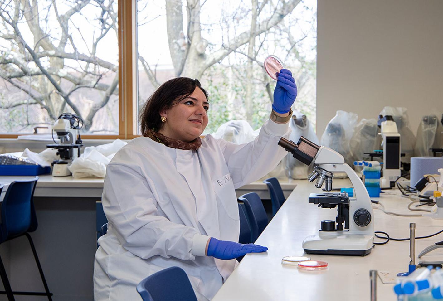 A female scientist in a lab holds up a tube