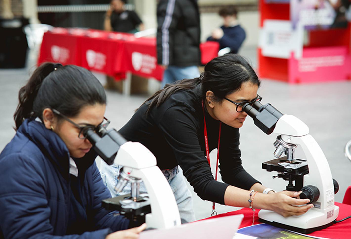 Students looking through a microscope at STEM Festival