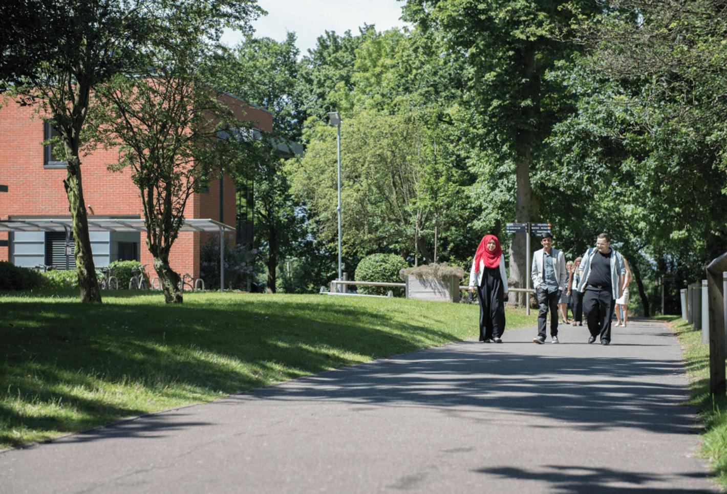 A group of students walking on a tree-lined path on a sunny day at Middlesex University