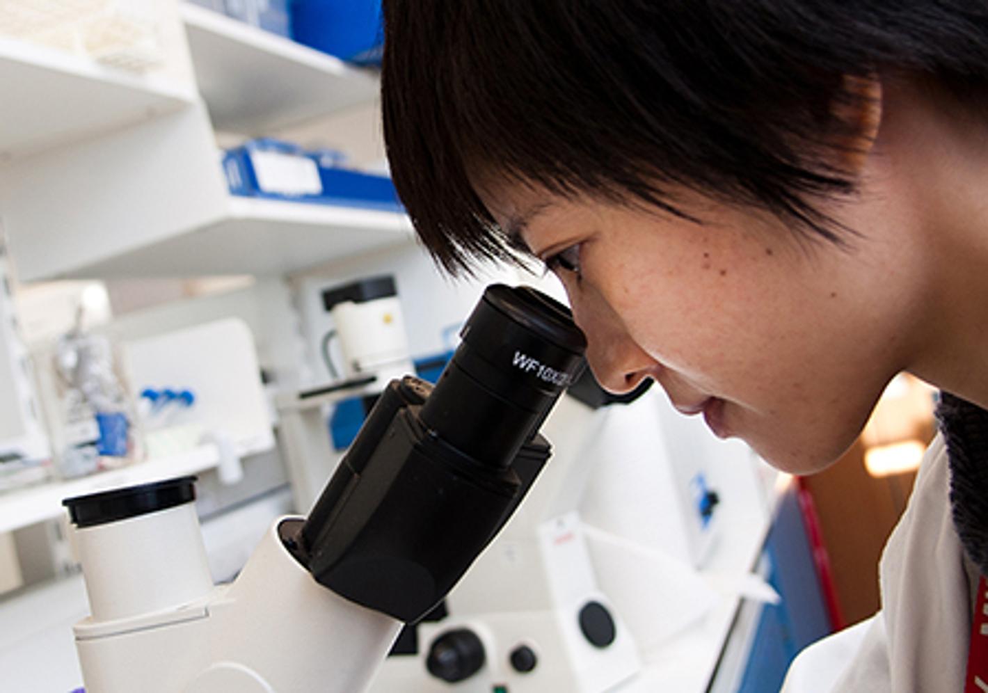 close up on a student studying a slide under a microscope