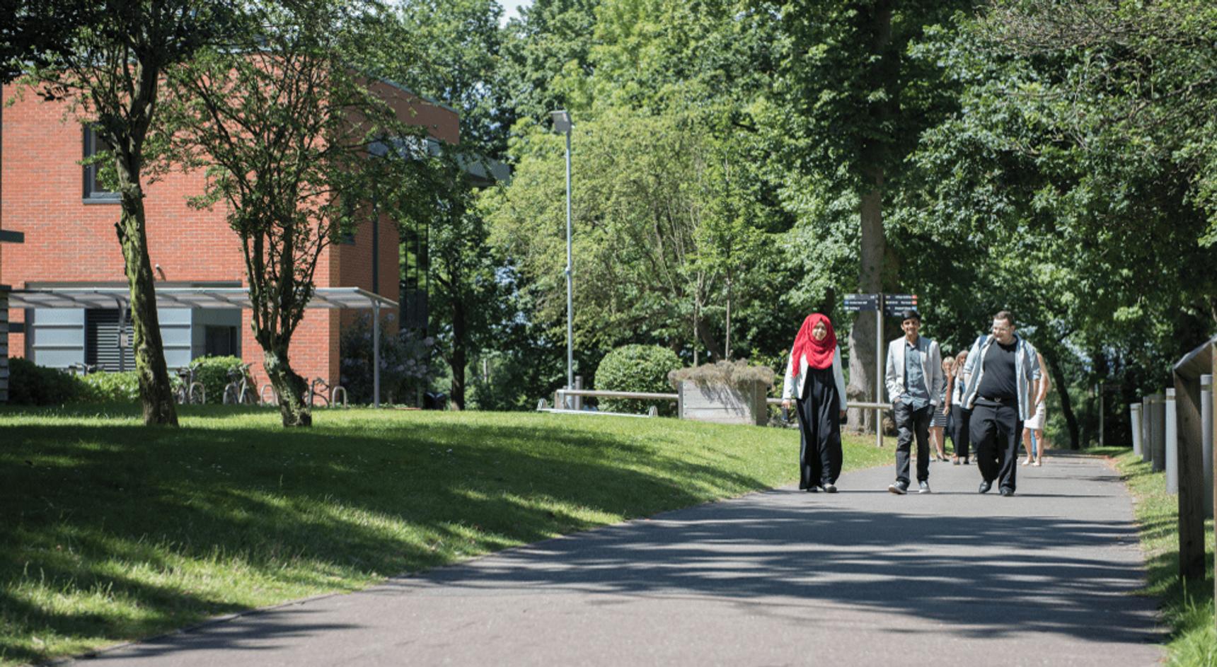 Students walking on a tree-lined path on a sunny day