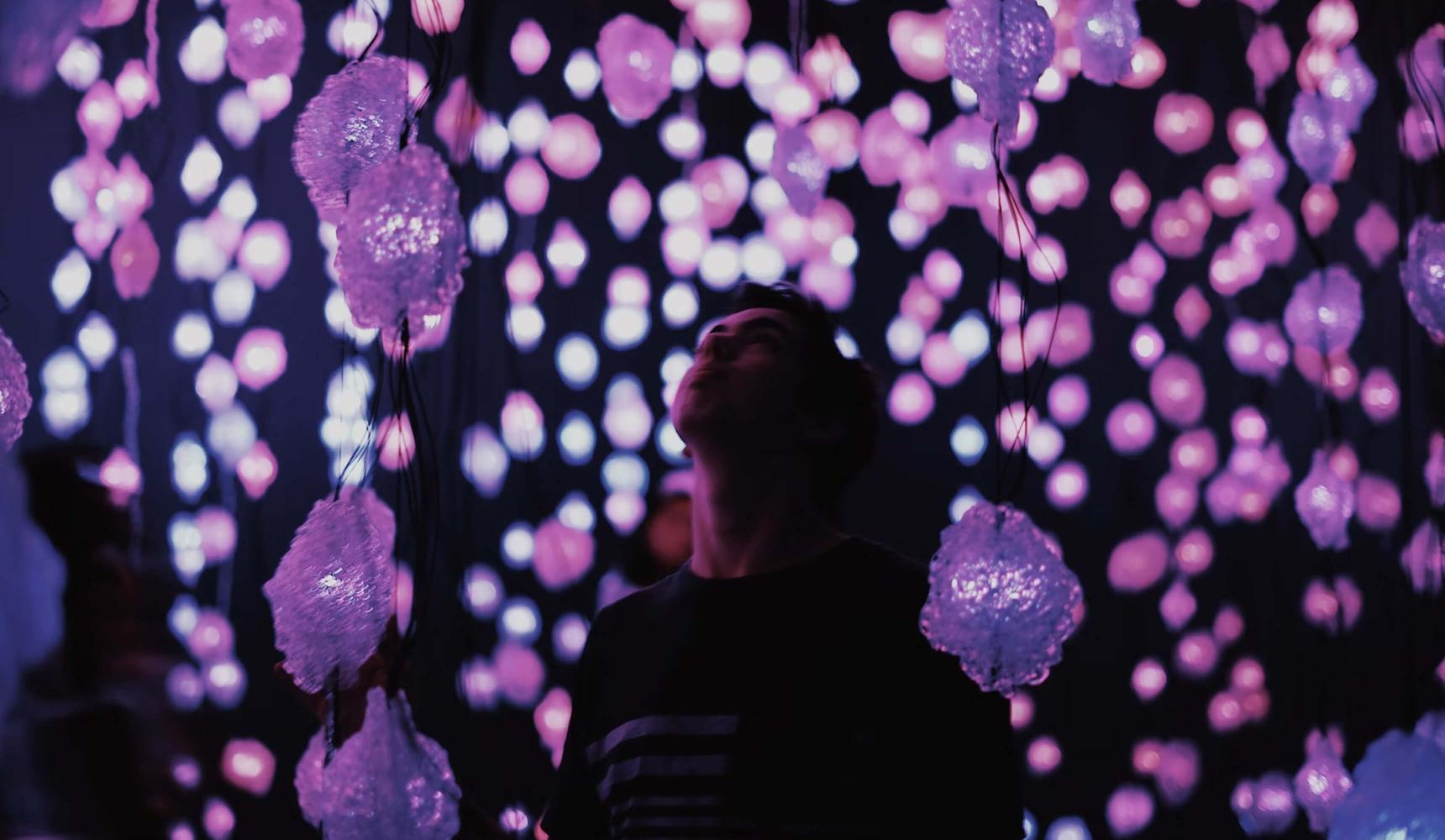 Purple lights with person in the foreground