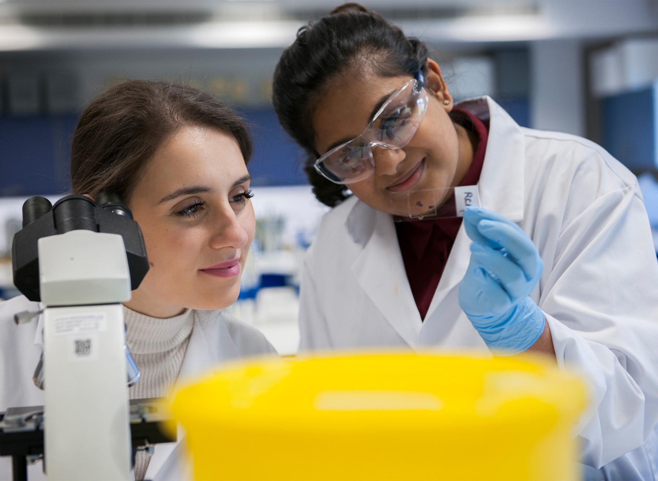 Two students working in a lab