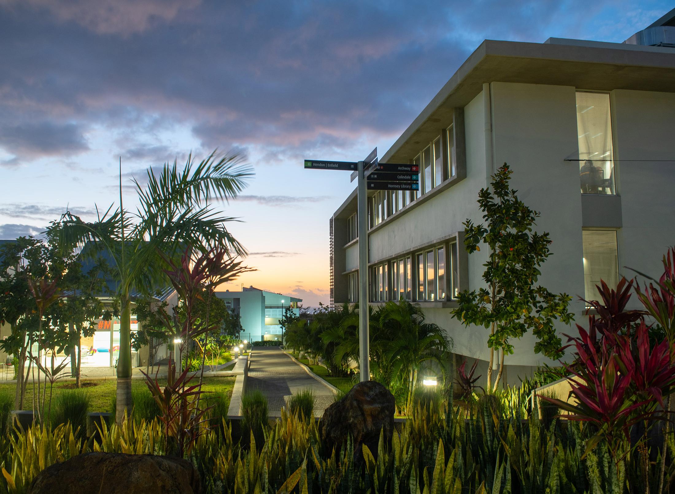 university campus with tropical plants in sunset light