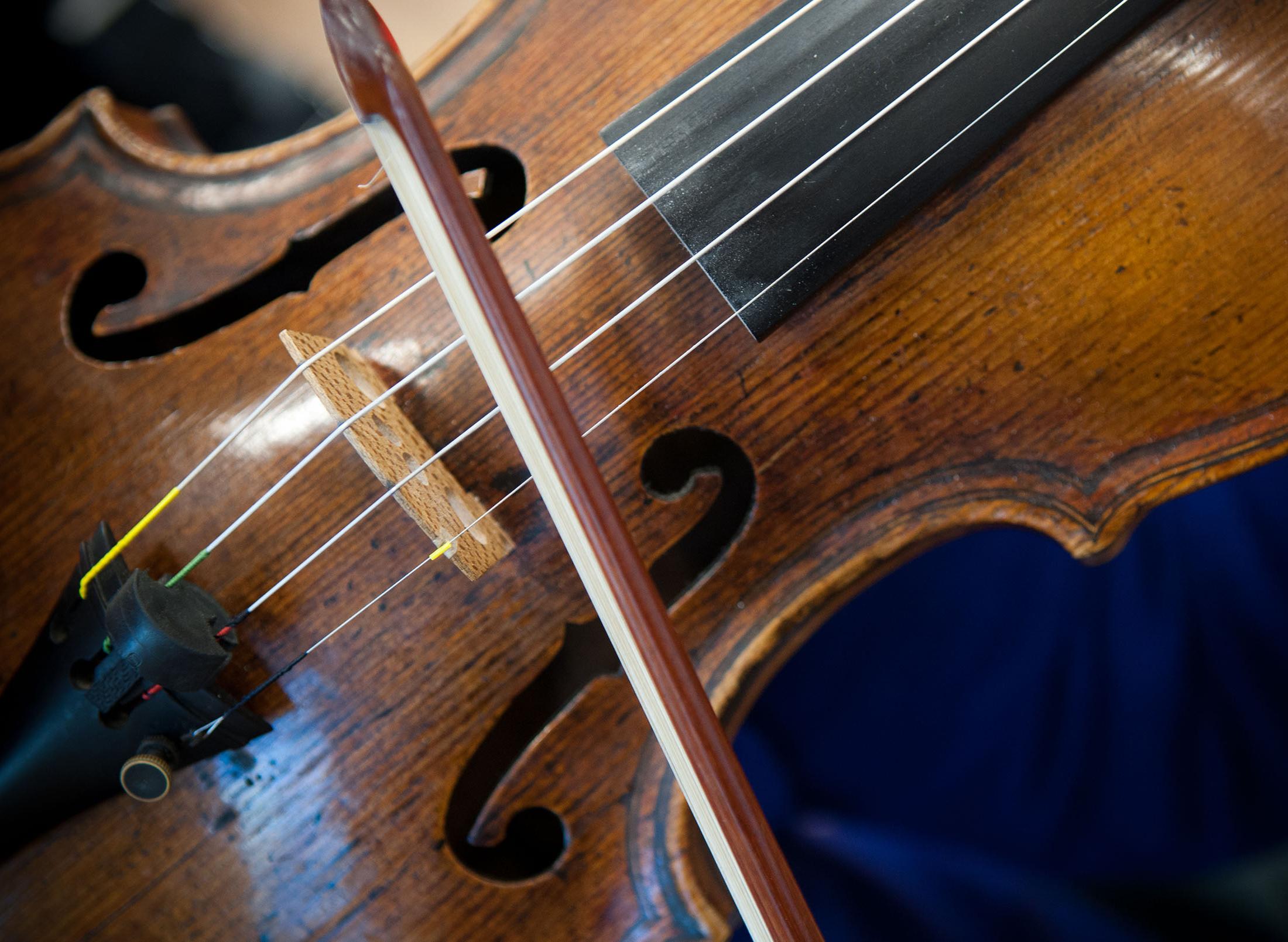 A closeup shot of a violin