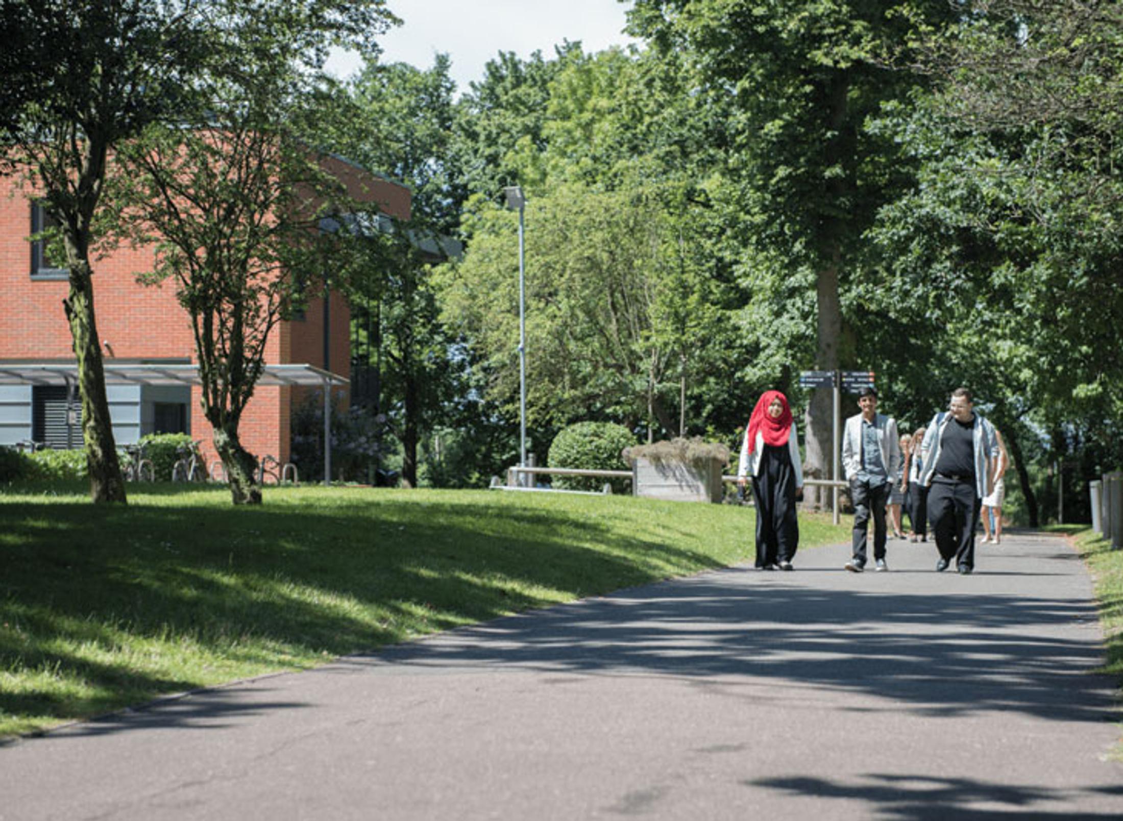 Mixed group of students on campus