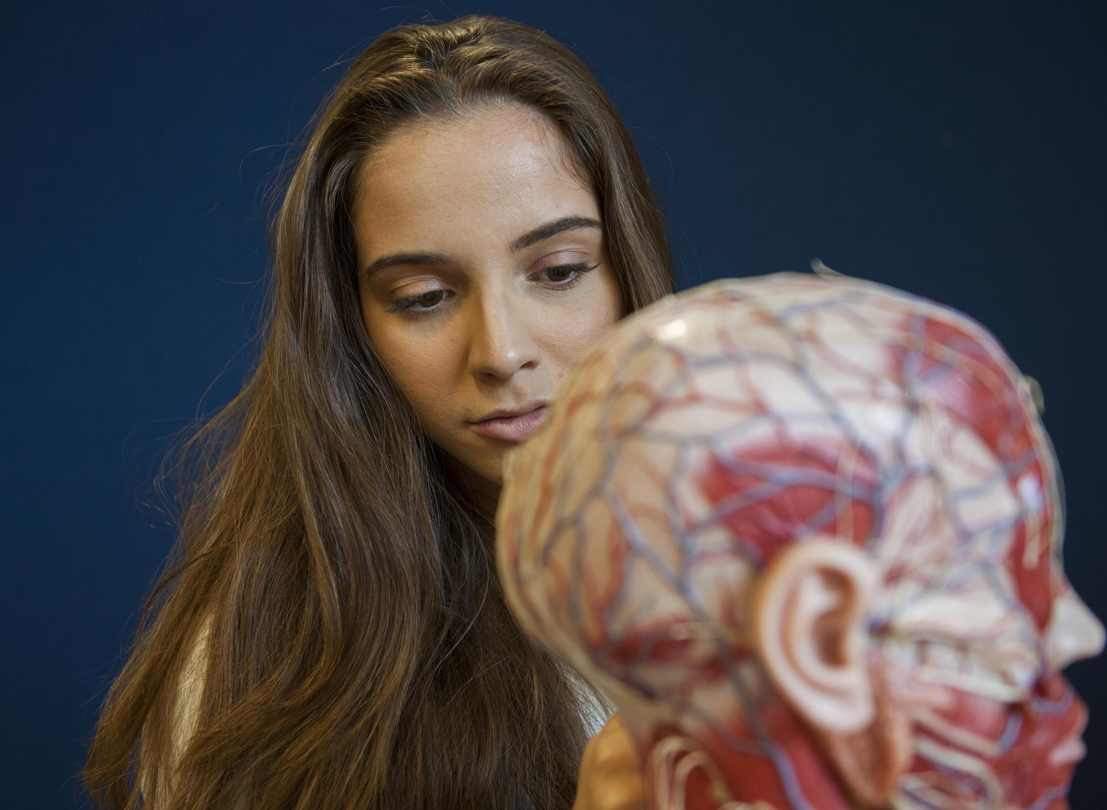 Student examines a model of the human head.