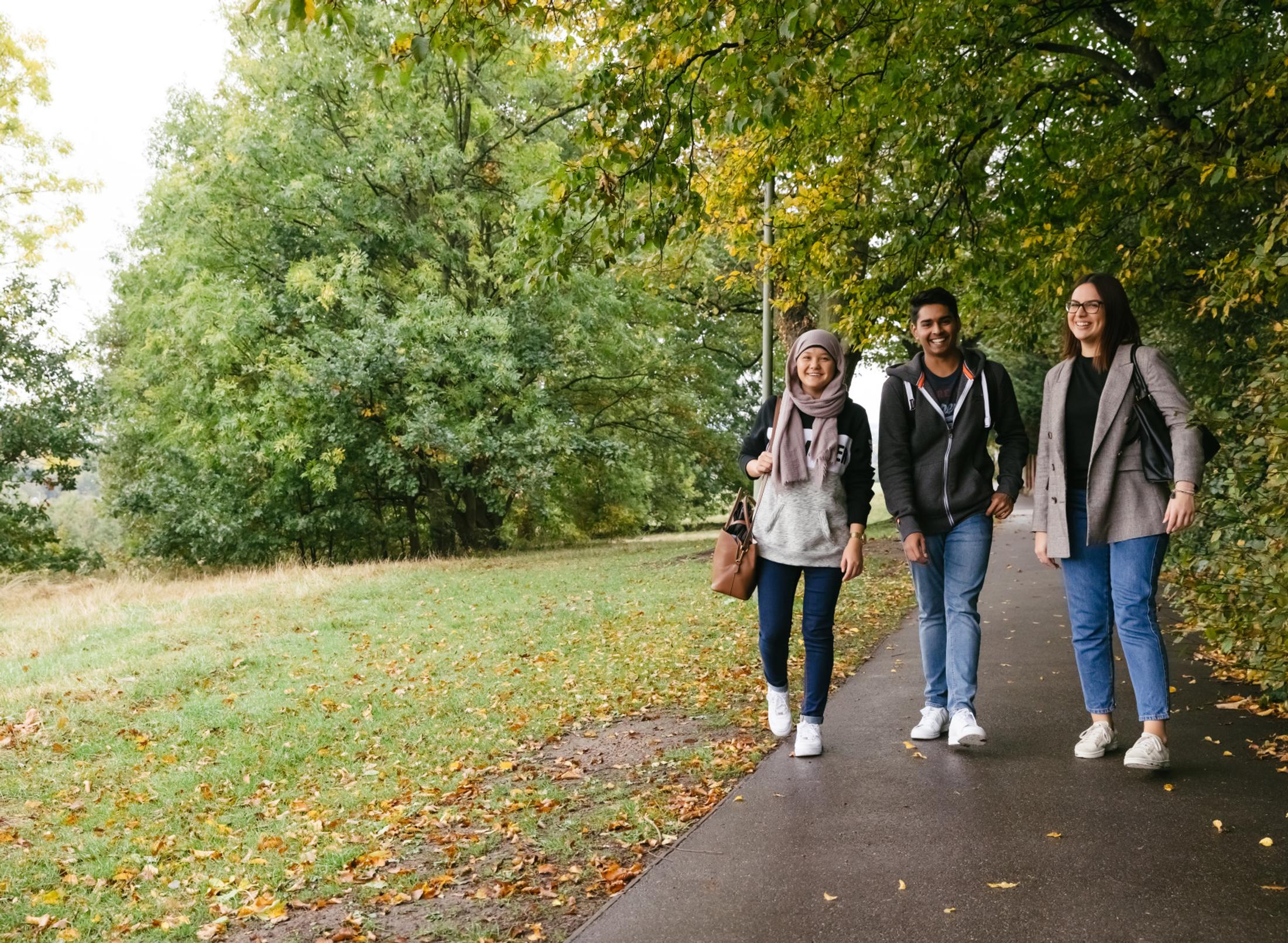 A group of students walking on a path through Sunny Hill park on a sunny day.