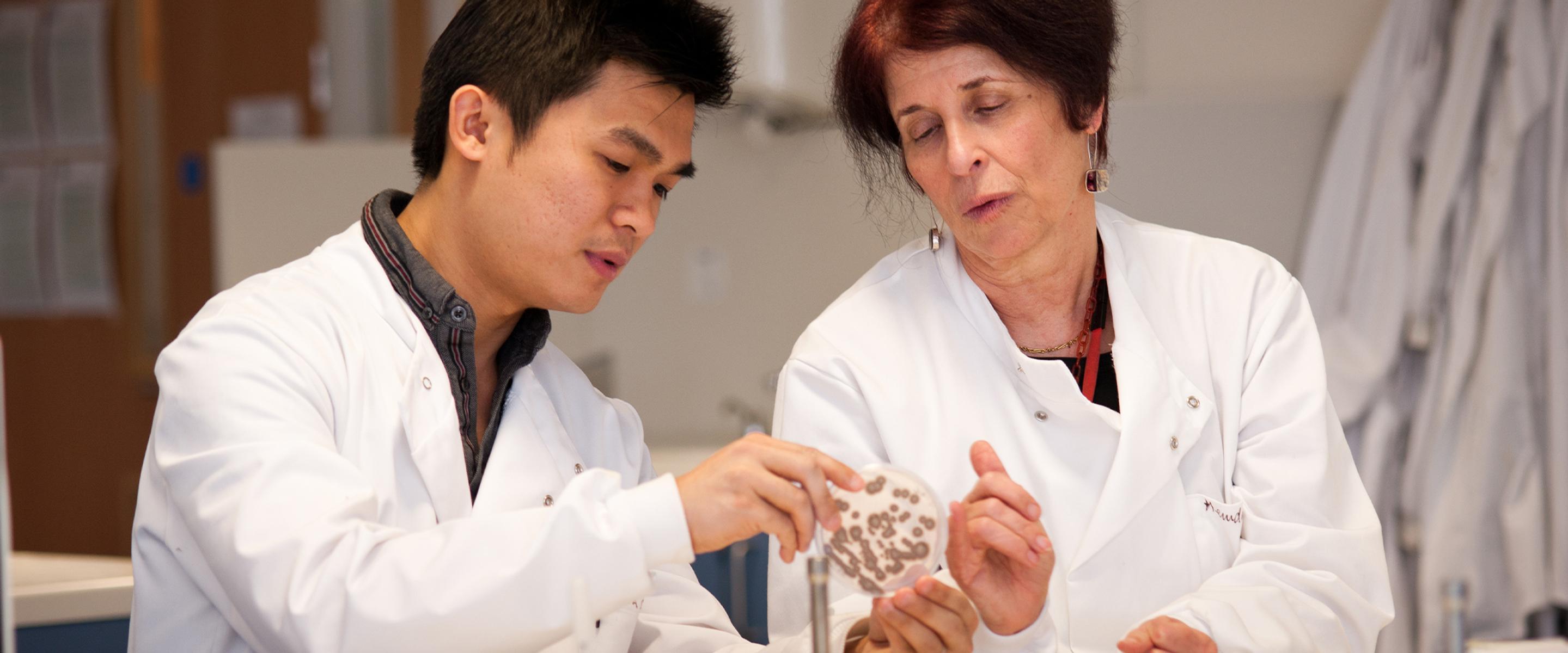 Students working in a lab