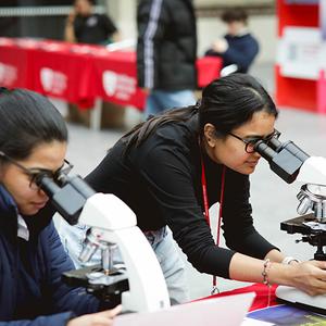 Students looking through a microscope at STEM Festival
