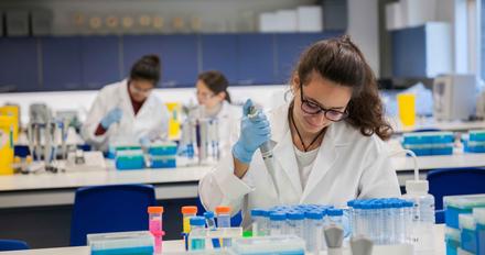 A student working in a Natural Science lab