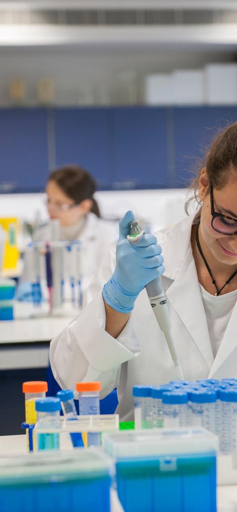 Pharmaceutical sciences students conduct laboratory experiments using precision pipettes and analytical equipment
