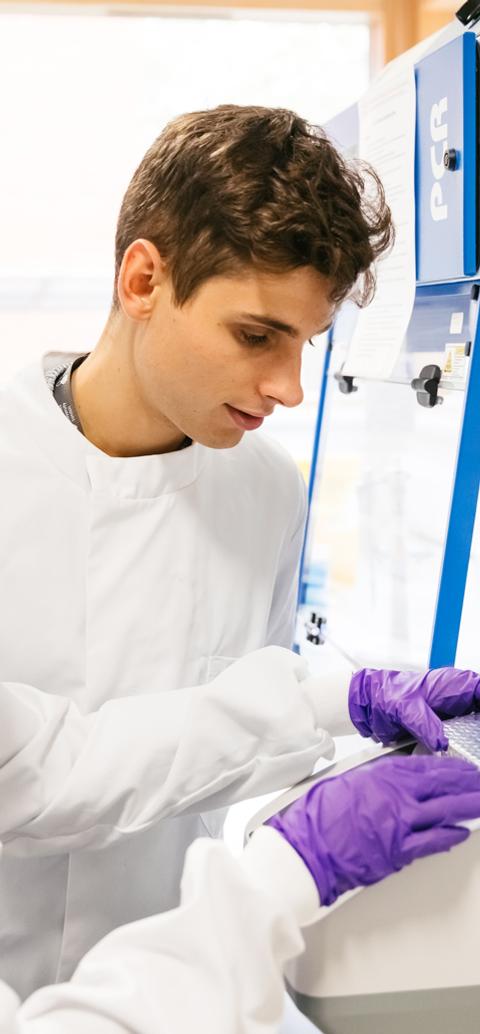 Students conduct an experiment using laboratory equipment in a pharmaceutical sciences laboratory.