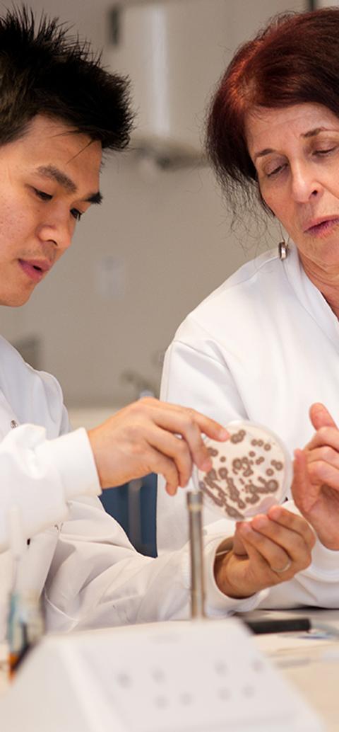 a student doctor examining something with a teacher