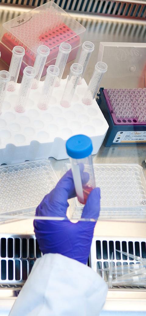Medical student in a lab mixing text tubes