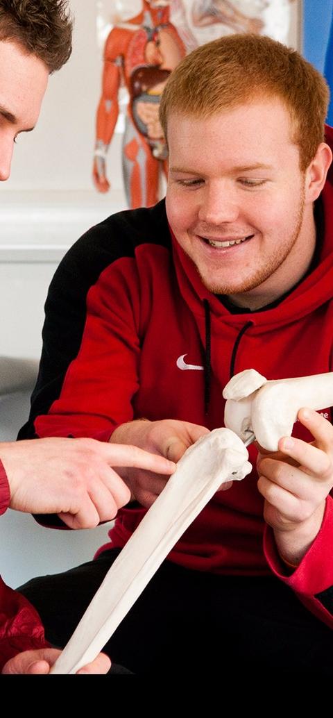 two students examining a skeleton