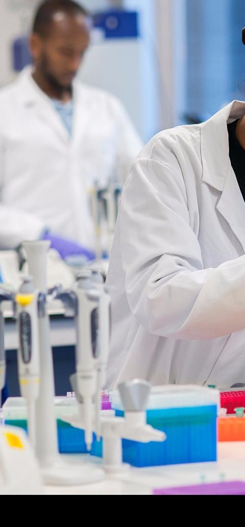 A female scientist in a white lab coat concentrates on her project. She meticulously carries out experiments in a laboratory setting.