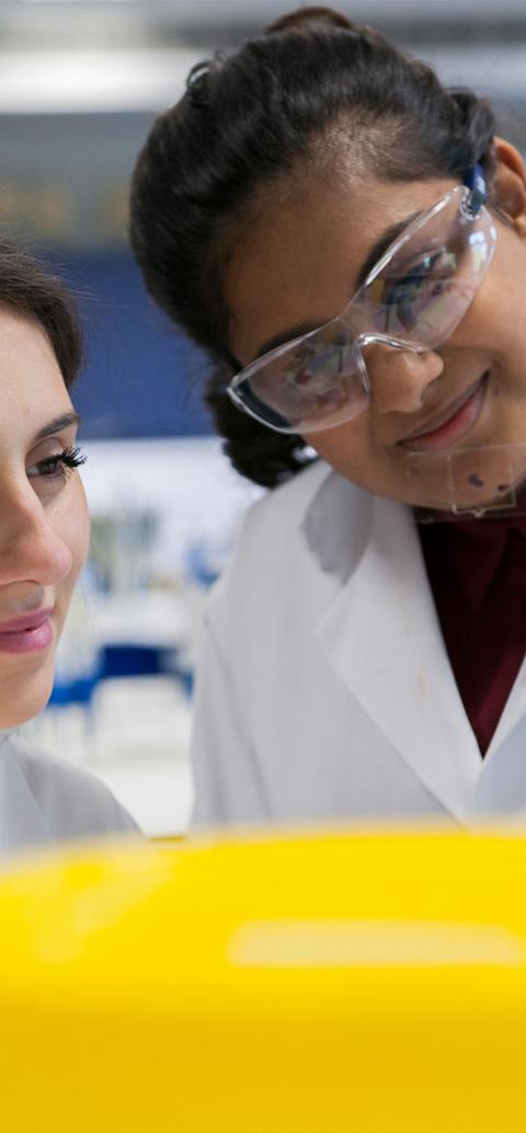 Two students working in a lab