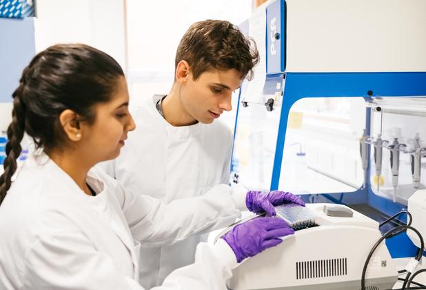 Students conduct an experiment using laboratory equipment in a pharmaceutical sciences laboratory.