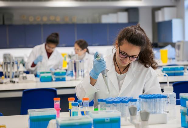 Students working in a lab