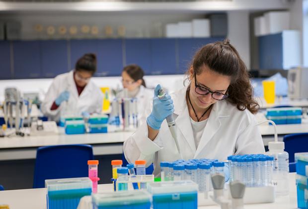Pharmaceutical sciences students conduct laboratory experiments using precision pipettes and analytical equipment