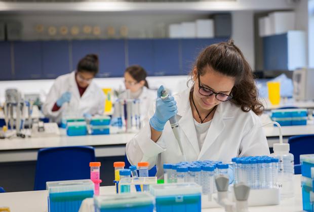 Students working in a lab