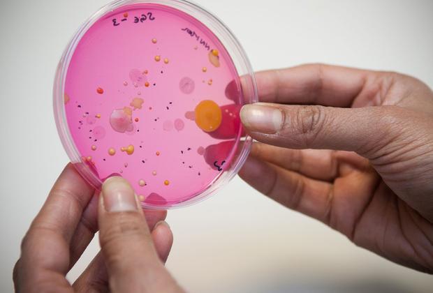 A student holding a petri dish with a sample in it