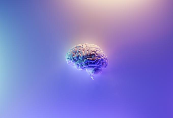 An image of human brain