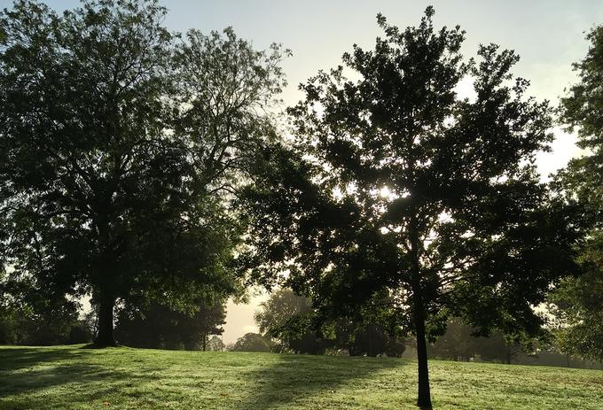 BarNET ZERO Challenge launched to shape a sustainable future