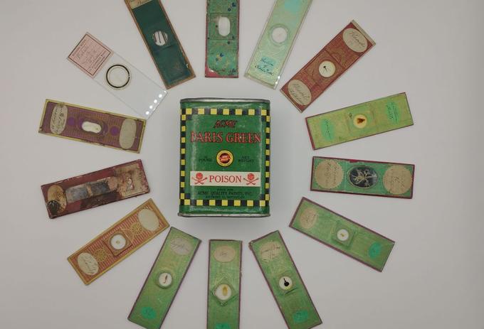 Victorian microscope slides