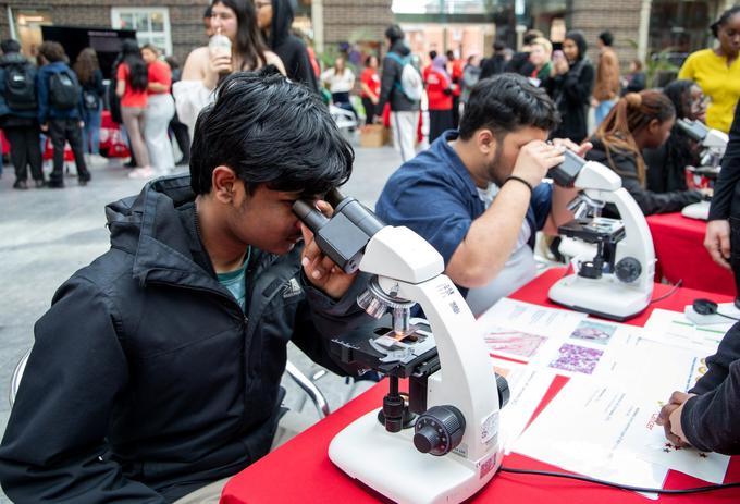 Two young men looking through microscopes at a science festival