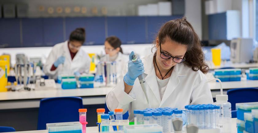 A student working in a Natural Science lab