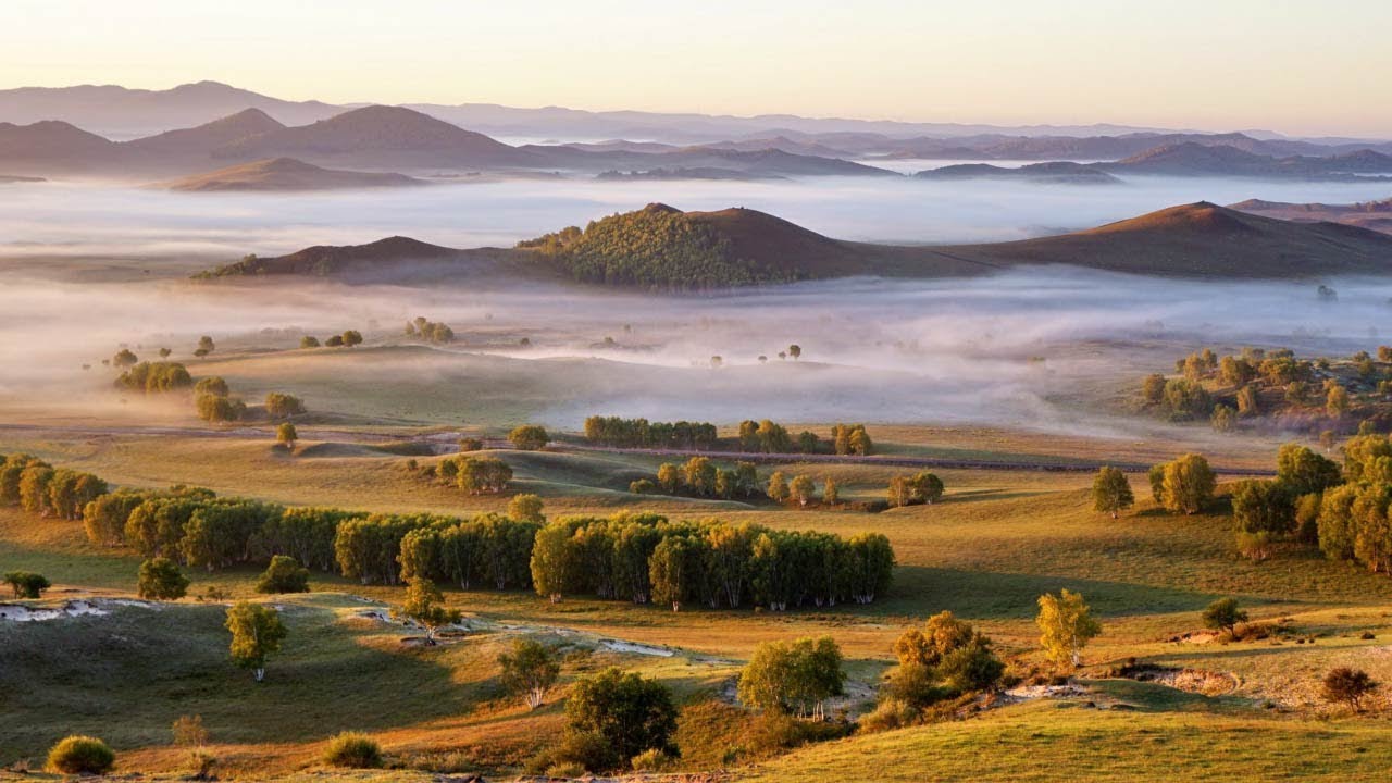 Saihanba National forest