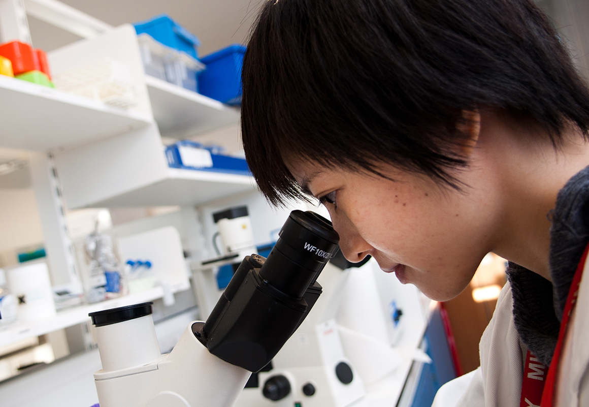 oriental person examining a specimen