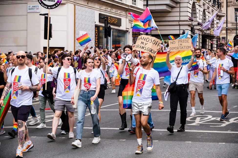 Ant leading a protest
