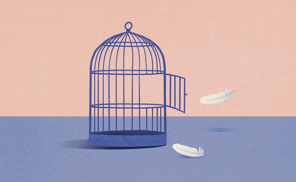 Animated image of an empty bird cage