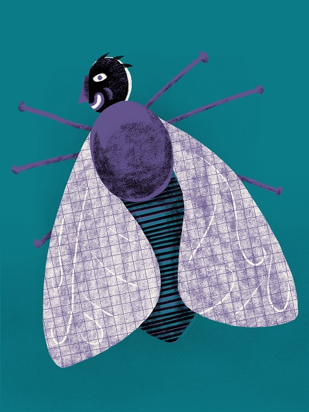 Image of an animated fly